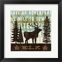 Simple Living Elk Fine Art Print