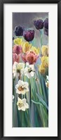 Grape Tulips Panel I Framed Print