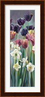 Grape Tulips Panel II Fine Art Print