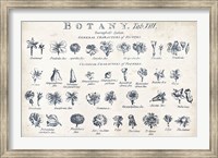 Botany Tab VIII Indigo and White Fine Art Print
