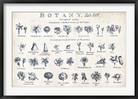 Botany Tab VIII Indigo and White Fine Art Print