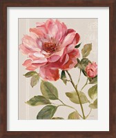 Harmonious Rose Linen Fine Art Print
