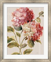 Harmonious Hydrangeas Linen Fine Art Print