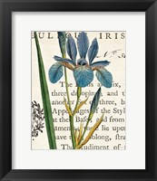 Iris Letter Fine Art Print
