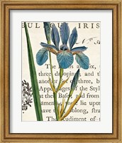 Iris Letter Fine Art Print