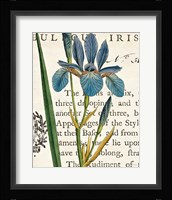 Iris Letter Fine Art Print