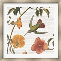 Vintage Hummingbird I Fine Art Print