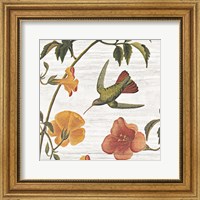 Vintage Hummingbird I Fine Art Print