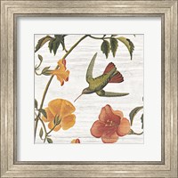 Vintage Hummingbird I Fine Art Print