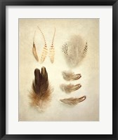 Feathers II Fine Art Print