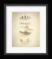 Feathers III Fine Art Print