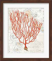Textured Coral IV Fine Art Print