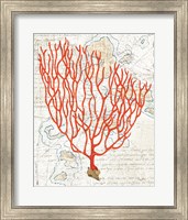 Textured Coral IV Fine Art Print