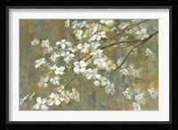Dogwood in Spring Framed Print