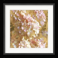 Gilded Hydrangea I Fine Art Print