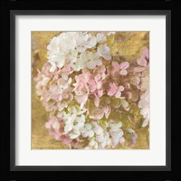 Gilded Hydrangea II Fine Art Print