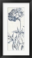 Eden III  Indigo and White Framed Print