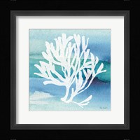 Sea Life Coral I Framed Print