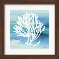 Sea Life Coral I Fine Art Print