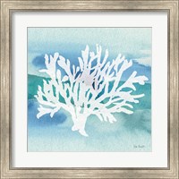 Sea Life Coral II Fine Art Print