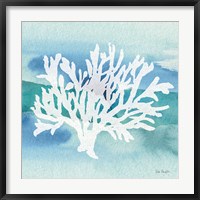 Sea Life Coral II Fine Art Print