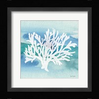 Sea Life Coral II Fine Art Print