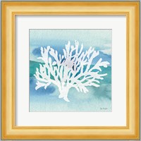 Sea Life Coral II Fine Art Print