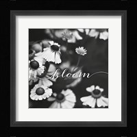 Bloom Fine Art Print