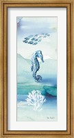 Sea Life VII no Border Fine Art Print
