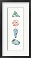 Sea Finds III (panel) Fine Art Print