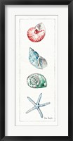 Sea Finds IV (panel) Fine Art Print