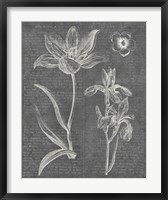 Eden Spring II Gray Fine Art Print