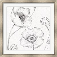Blossom Sketches I Fine Art Print