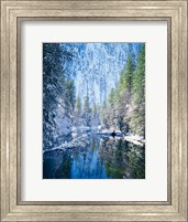 Winter trees along Merced River, Yosemite Valley, Yosemite National Park, California Fine Art Print