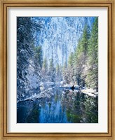 Winter trees along Merced River, Yosemite Valley, Yosemite National Park, California Fine Art Print