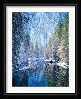 Winter trees along Merced River, Yosemite Valley, Yosemite National Park, California Fine Art Print