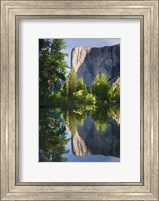 El Capitan reflected in Merced River Yosemite NP, CA Fine Art Print