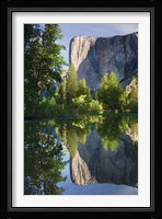 El Capitan reflected in Merced River Yosemite NP, CA Fine Art Print
