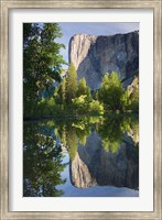 El Capitan reflected in Merced River Yosemite NP, CA Fine Art Print