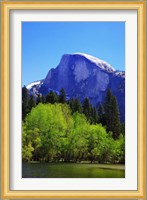 View of Half Dome rock and Merced River, Yosemite National Park, California Fine Art Print