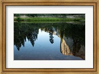 Reflection of El Capitan in Mercede River, Yosemite National Park, California - Horizontal Fine Art Print