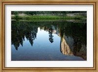 Reflection of El Capitan in Mercede River, Yosemite National Park, California - Horizontal Fine Art Print