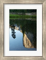 Reflection of El Capitan in Mercede River, Yosemite National Park, California - Vertical Fine Art Print