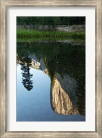 Reflection of El Capitan in Mercede River, Yosemite National Park, California - Vertical Fine Art Print
