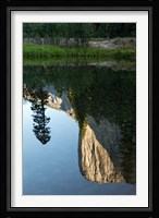 Reflection of El Capitan in Mercede River, Yosemite National Park, California - Vertical Framed Print