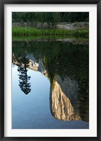 Reflection of El Capitan in Mercede River, Yosemite National Park, California - Vertical Framed Print