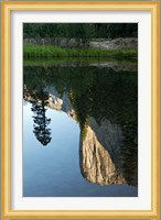 Reflection of El Capitan in Mercede River, Yosemite National Park, California - Vertical Fine Art Print