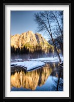 Yosemite Falls reflection in Merced River, Yosemite, California Fine Art Print