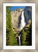 Upper and Lower Yosemite Falls, Merced River, Yosemite NP, California Fine Art Print