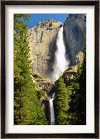 Upper and Lower Yosemite Falls, Merced River, Yosemite NP, California Fine Art Print